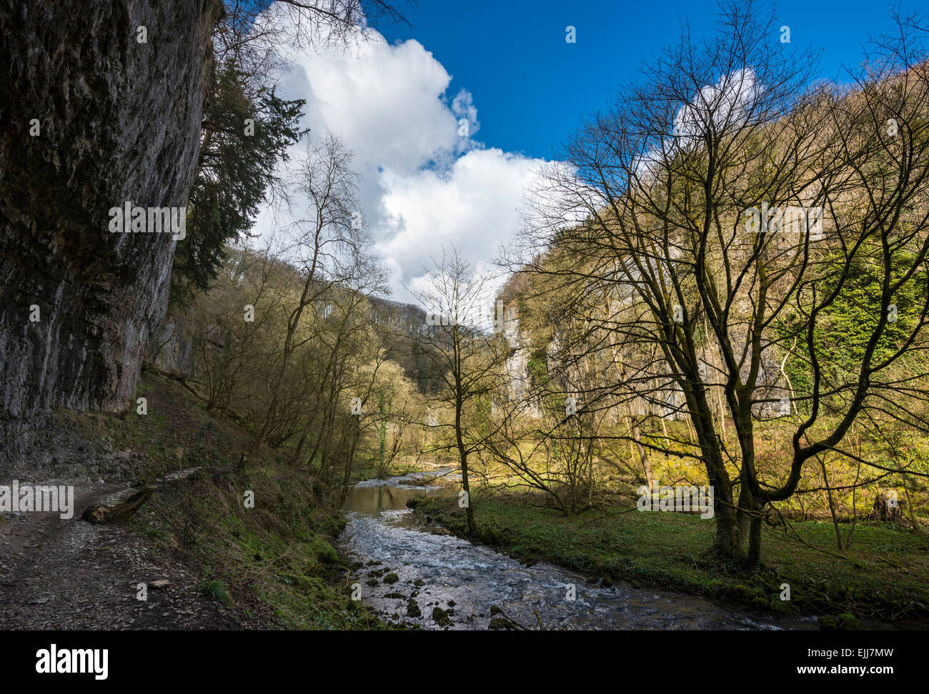 Dramatic limestone cliff beside the river Wye in Chee Dale, Derbyshire. Stock Photo
