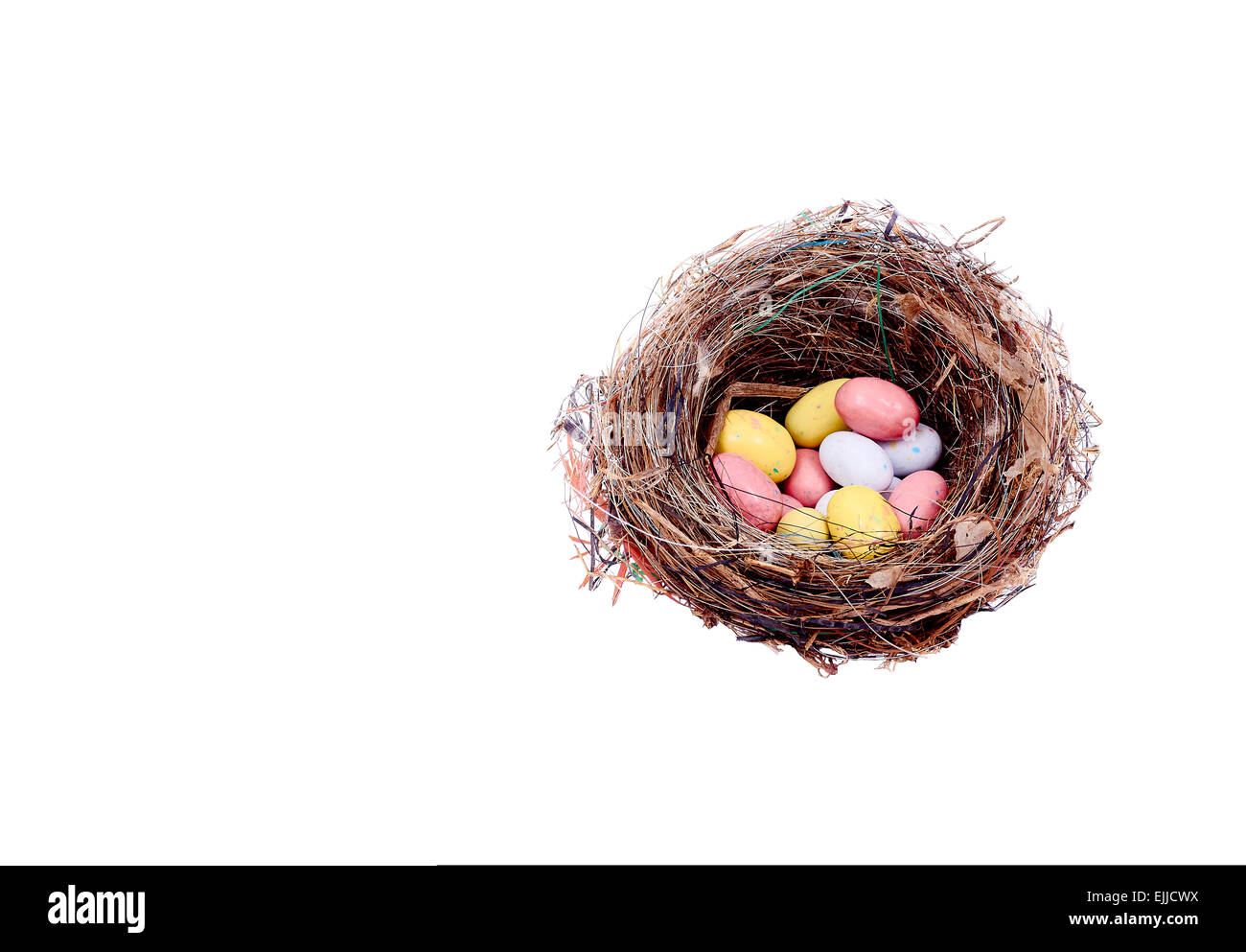 Horse hair birds nest with colored eggs isolated on white Stock Photo