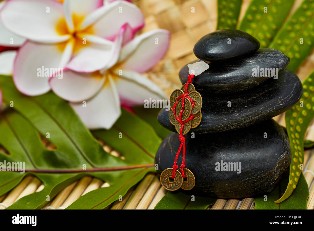 Smooth black rocks stacked with feng shui chinese coins for good luck on fern leaf and bamboo mat with plumerias Stock Photo