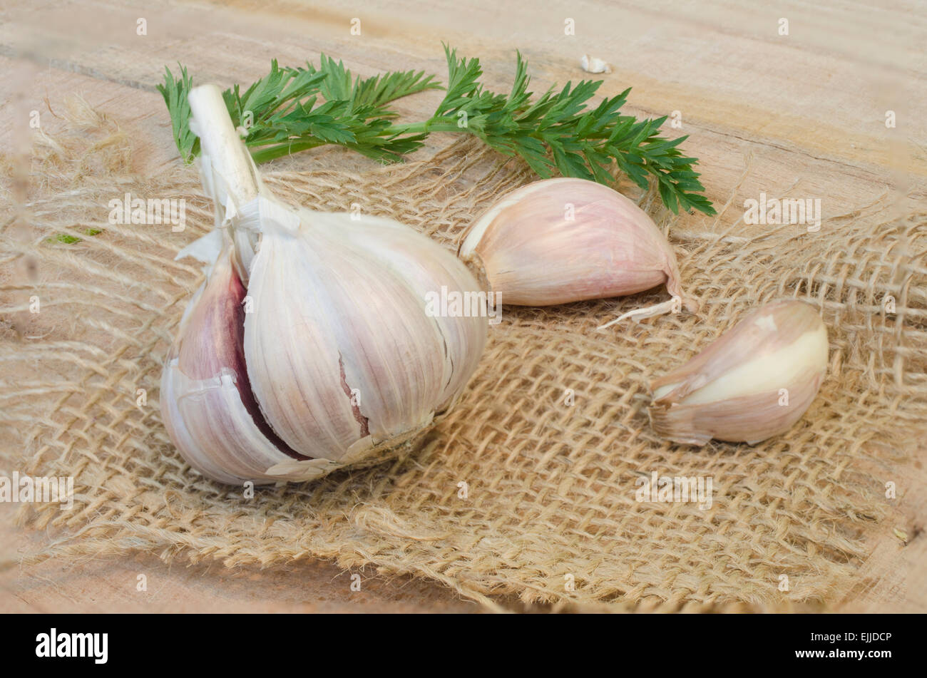 Garlic and parsley leaves on canvas isolated on wooden background Stock Photo