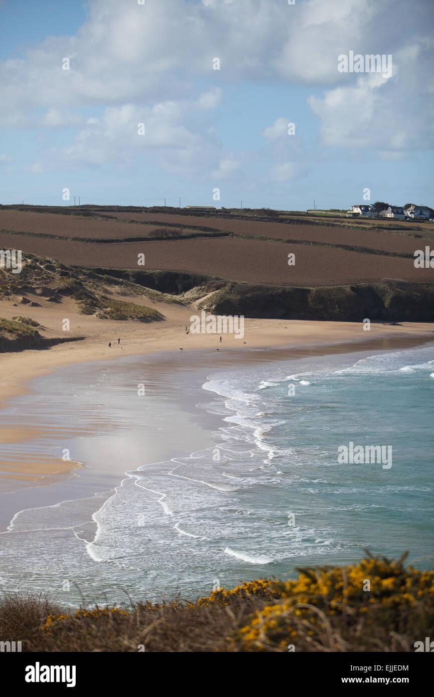 View across Crantock Beach to West Pentire, Newquay, Cornwall, UK on March 25th, 2015. Portrait orientation . Stock Photo