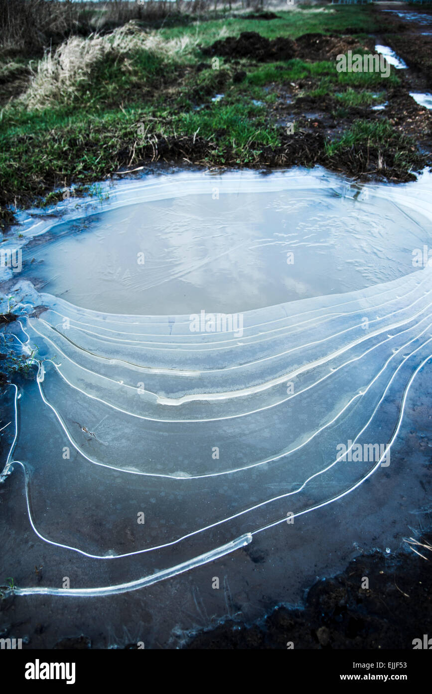 Ice patterns on the ground in winter Stock Photo Alamy