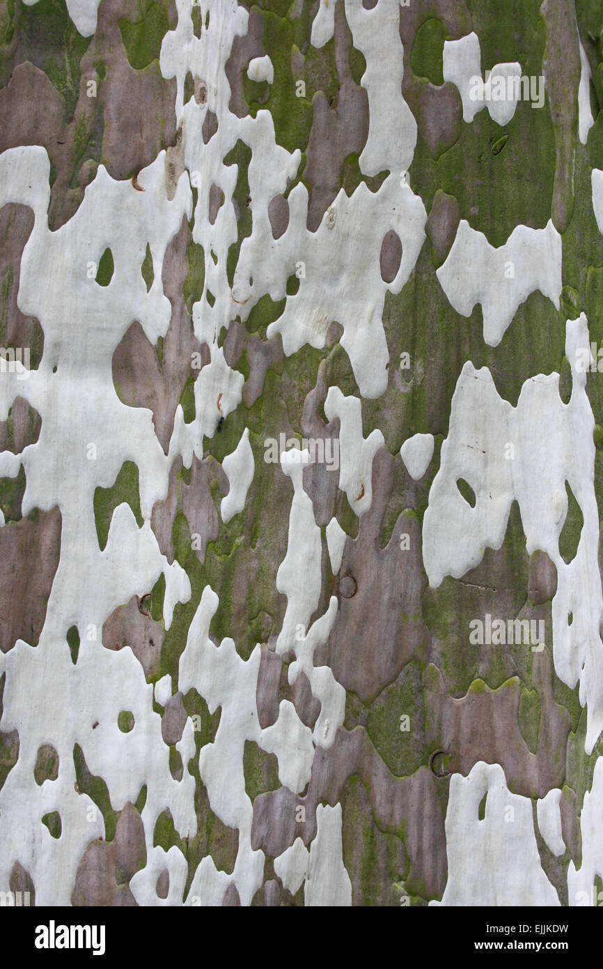 China texture hi-res stock photography and images - Alamy