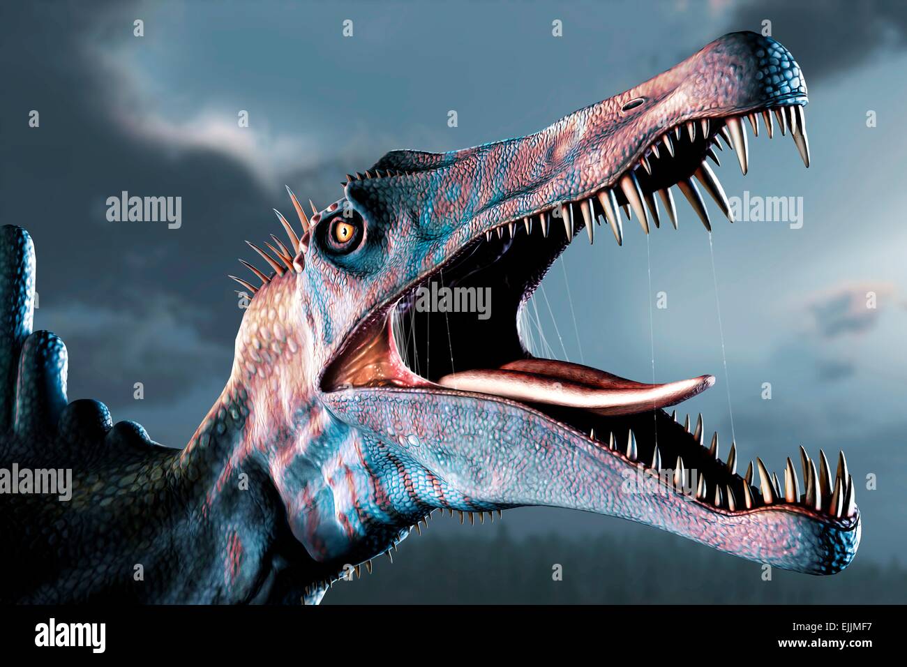 Spinosaurus (meaning 'spine lizard') was arguably the largest known meat-eating dinosaur. It was longer even than Tyrannosaurus Stock Photo