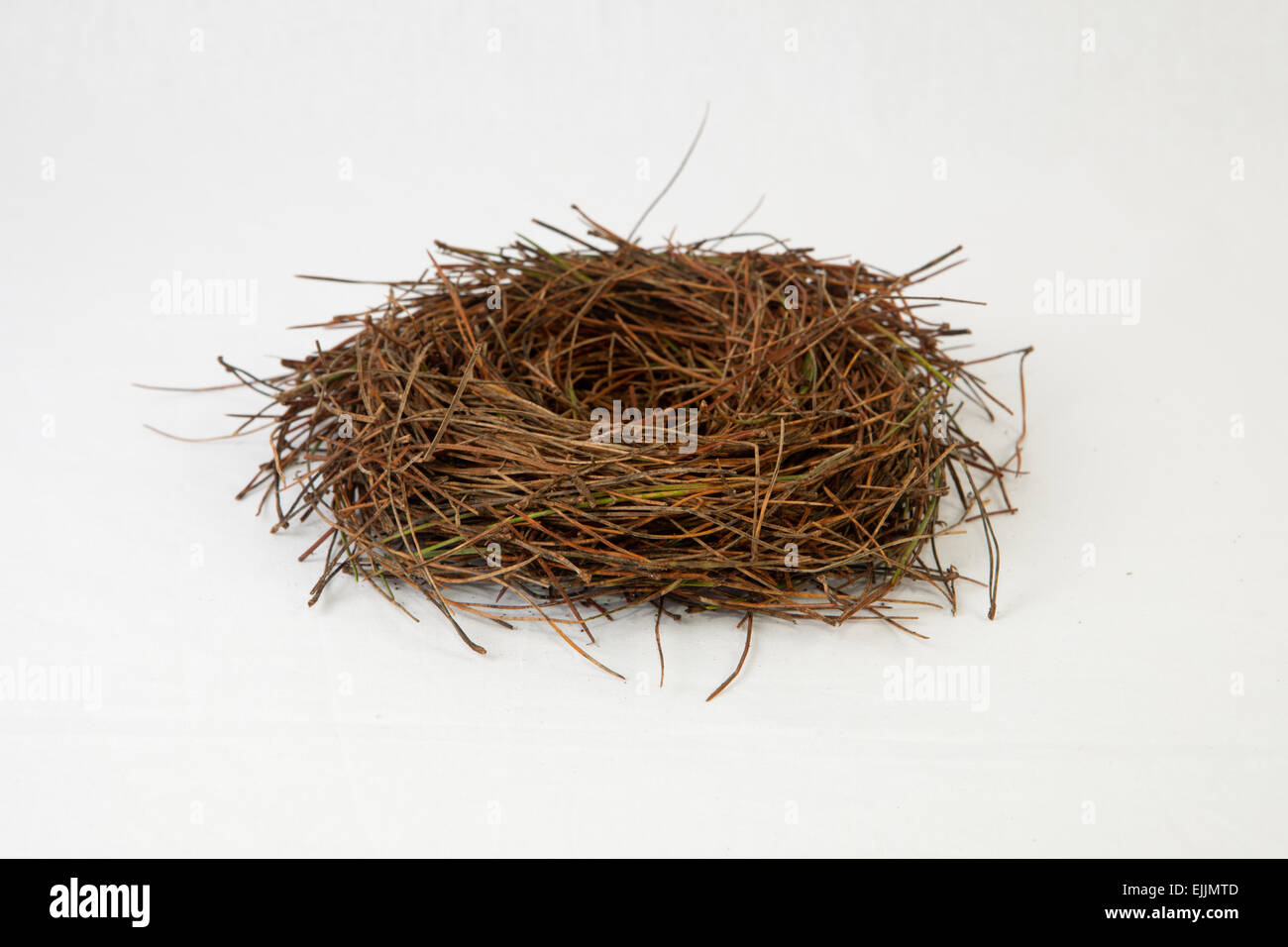 Empty bird nest made of pine tree needles. Isolated over white background Stock Photo