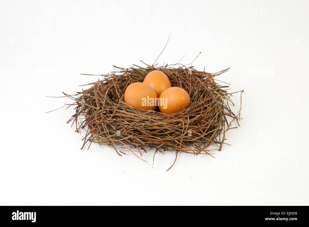 Bird nest with hen eggs made of pine tree needles. Isolated over white