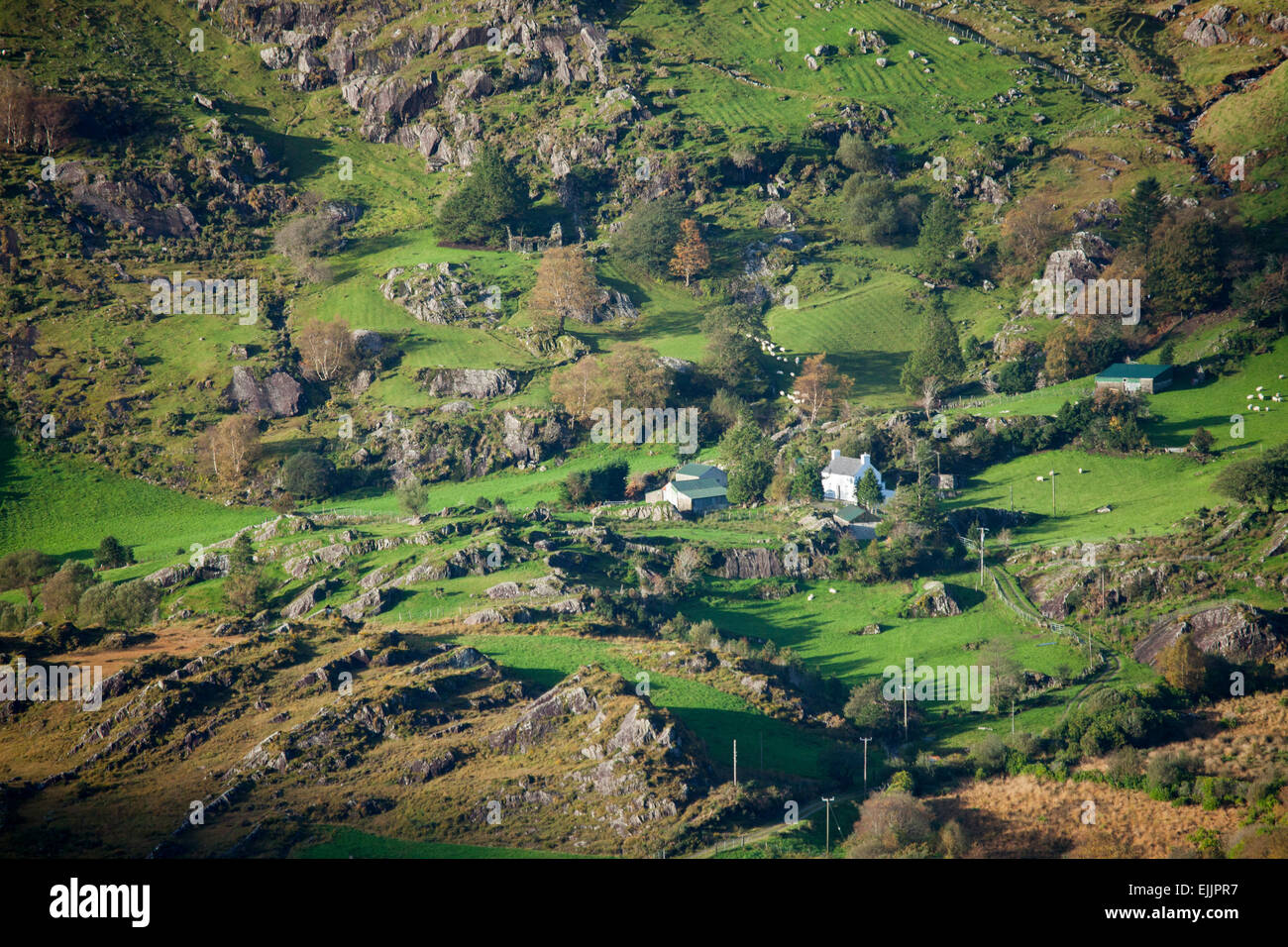 Remote farmhouse in the rugged Glanmore Valley, Beara Peninsula, County Kerry, Ireland. Stock Photo