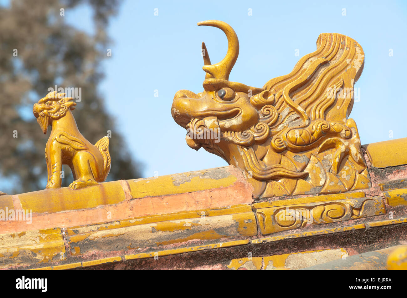 Orange roof guardians at the Forbidden City, Beijing, China Stock Photo