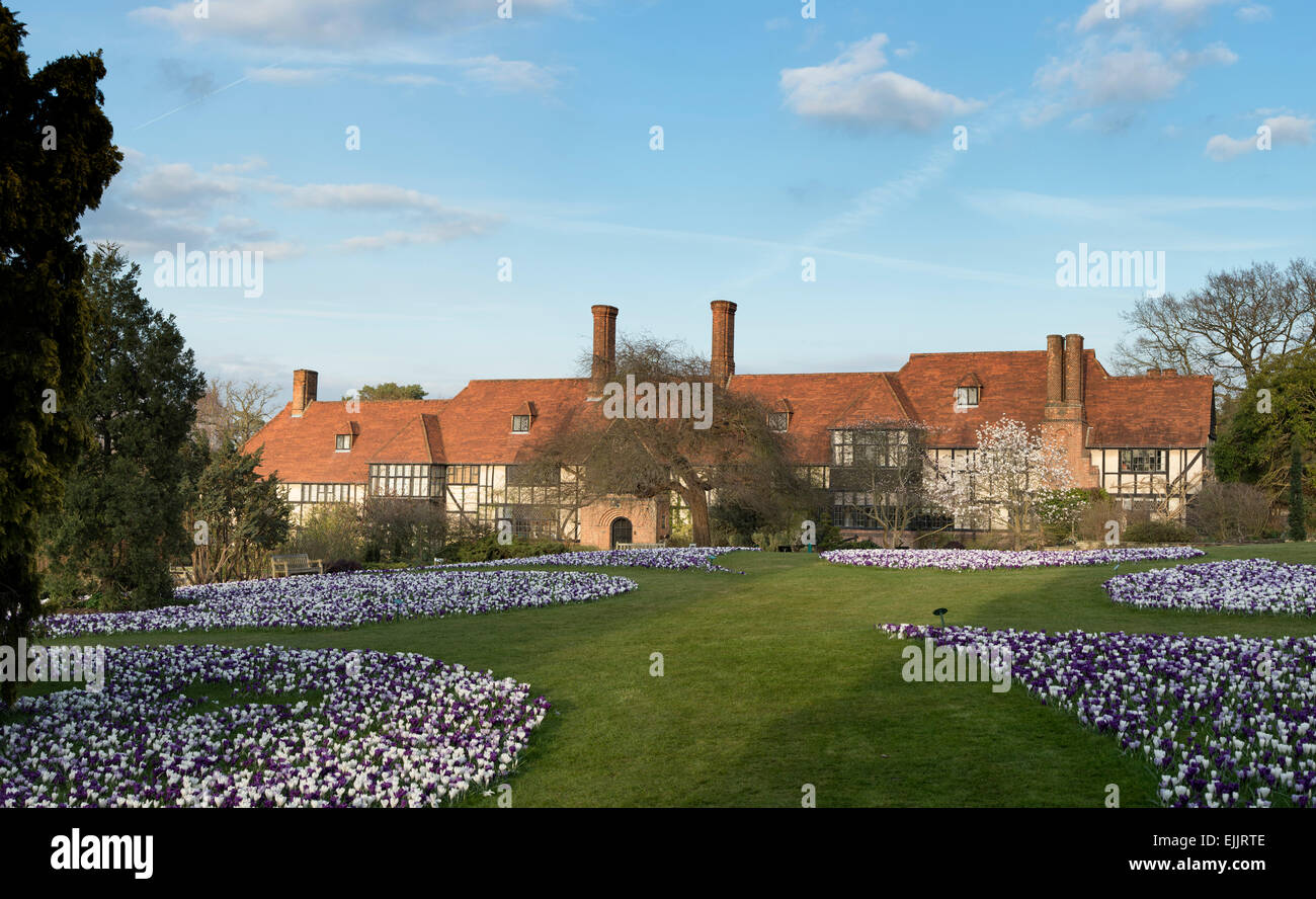 Spring Crocus lawn in front of the RHS Wisley laboratory building. Wisley, Surrey, UK Stock Photo