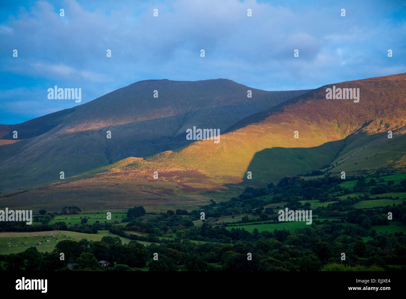 Evening light on the slopes of the Galtee Mountains, County Tipperary, Ireland. Stock Photo