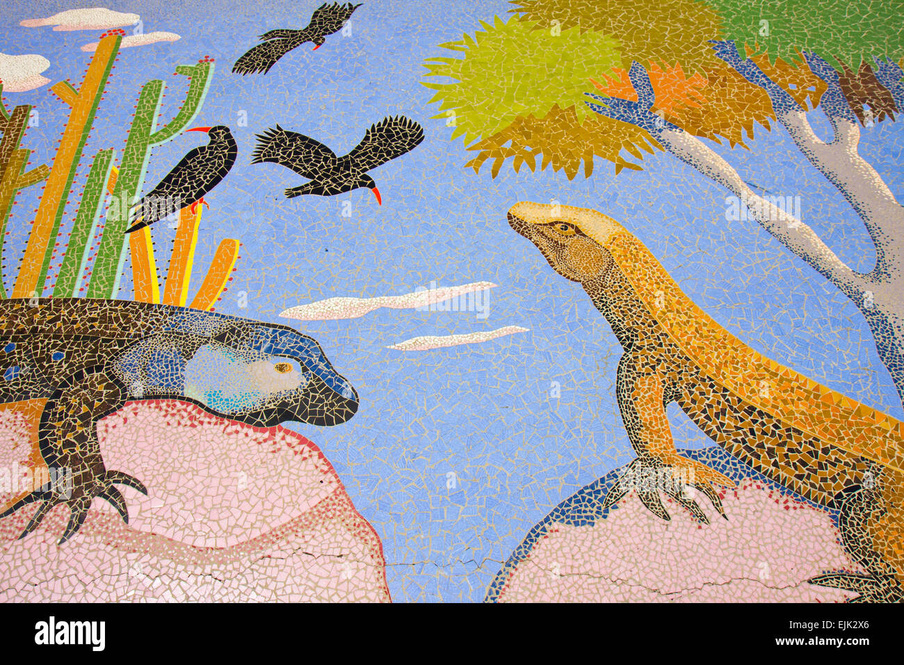 Mozaic at Plaza la Glorieta at La Palma, Canary Islands Stock Photo