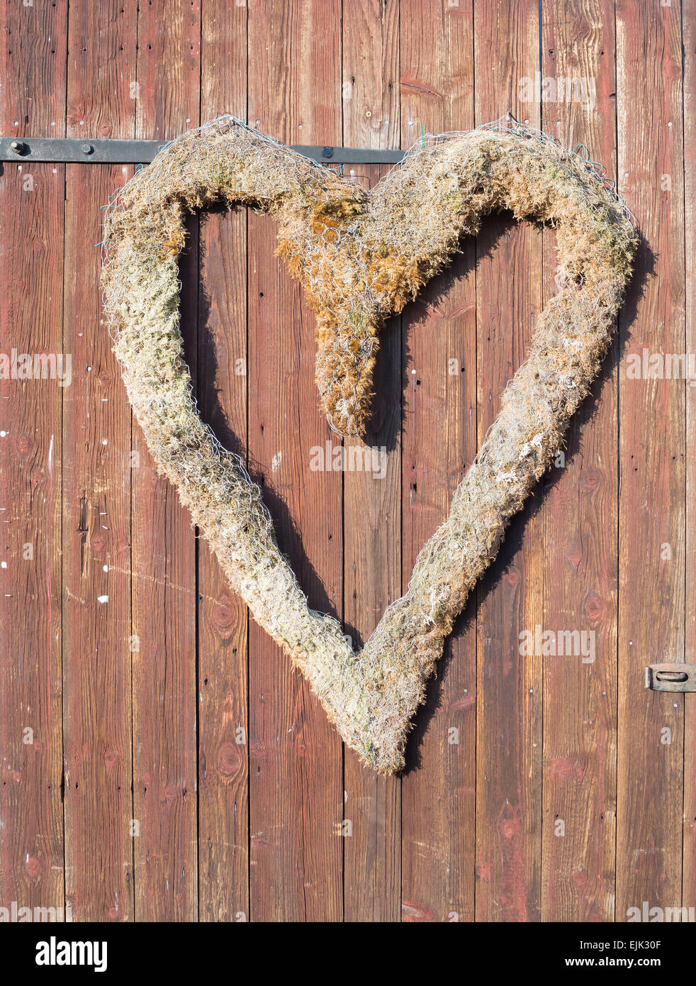 Wall with love. Red wooden wall with the heart shape made of moss and wire mesh in rustic style decoration. Stock Photo