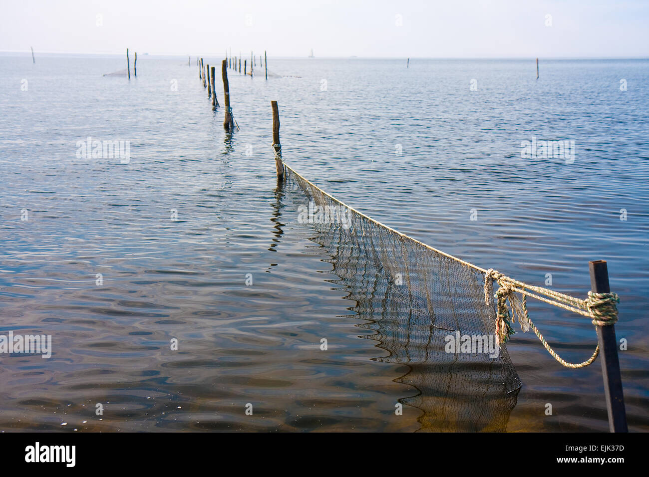 Fishing nets in the Dutch sea Stock Photo Alamy