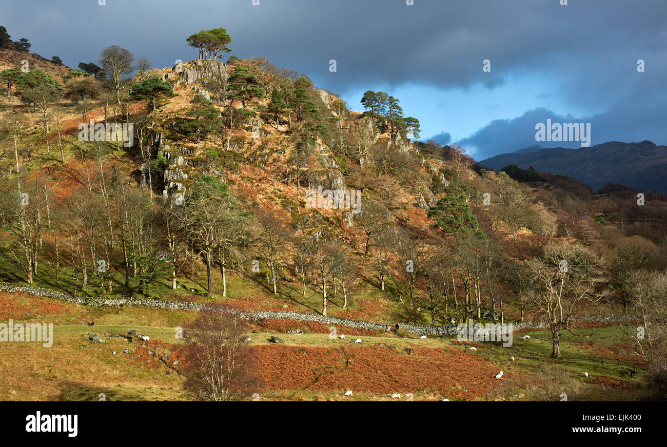 View across Cwm Llan from the Watkin Path in Snowdonia National Park Gwynedd North Wales UK Stock Photo