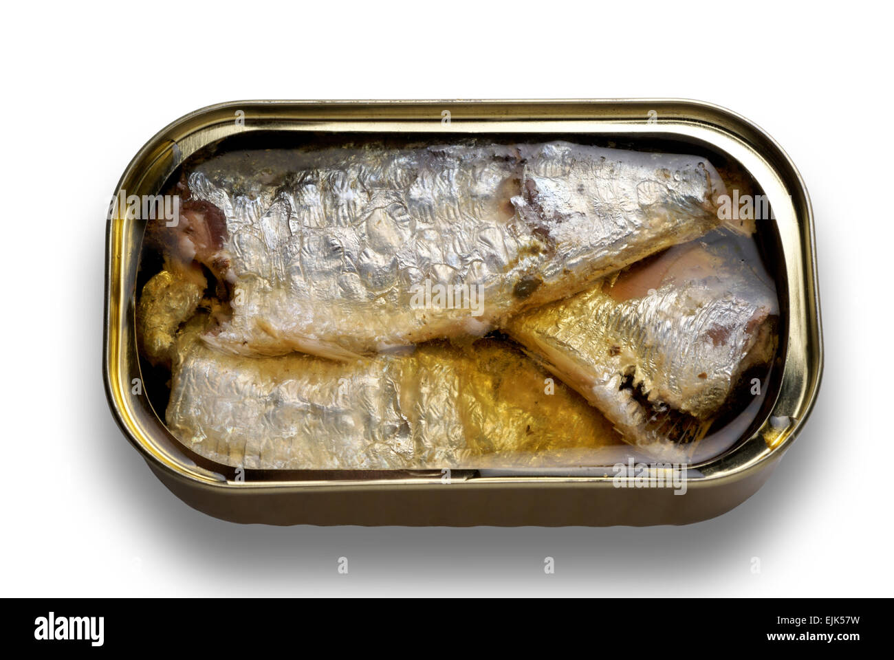 Sardine can isolated on white with clipping path Stock Photo