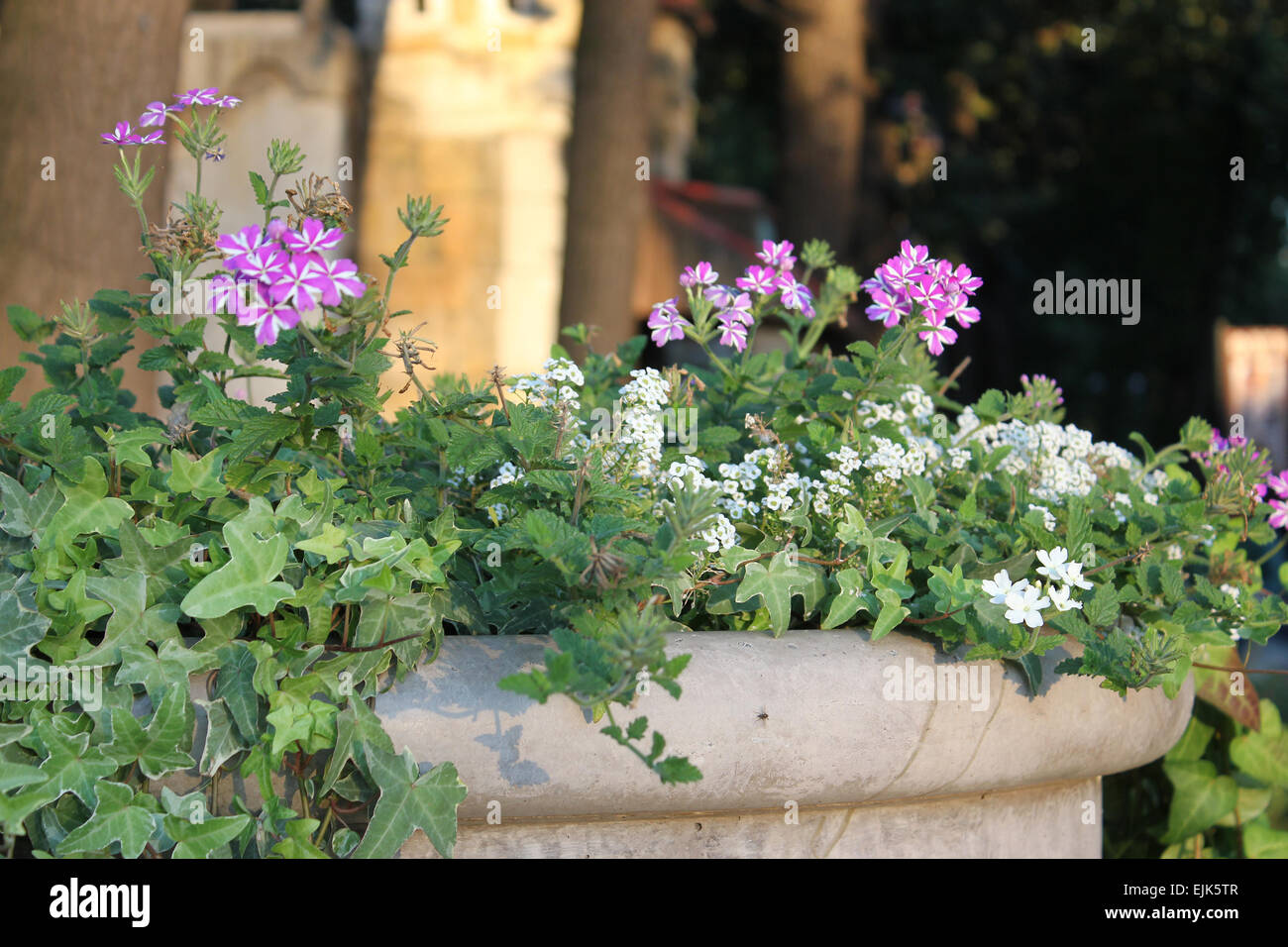 Urban design park illustration hi-res stock photography and images - Alamy