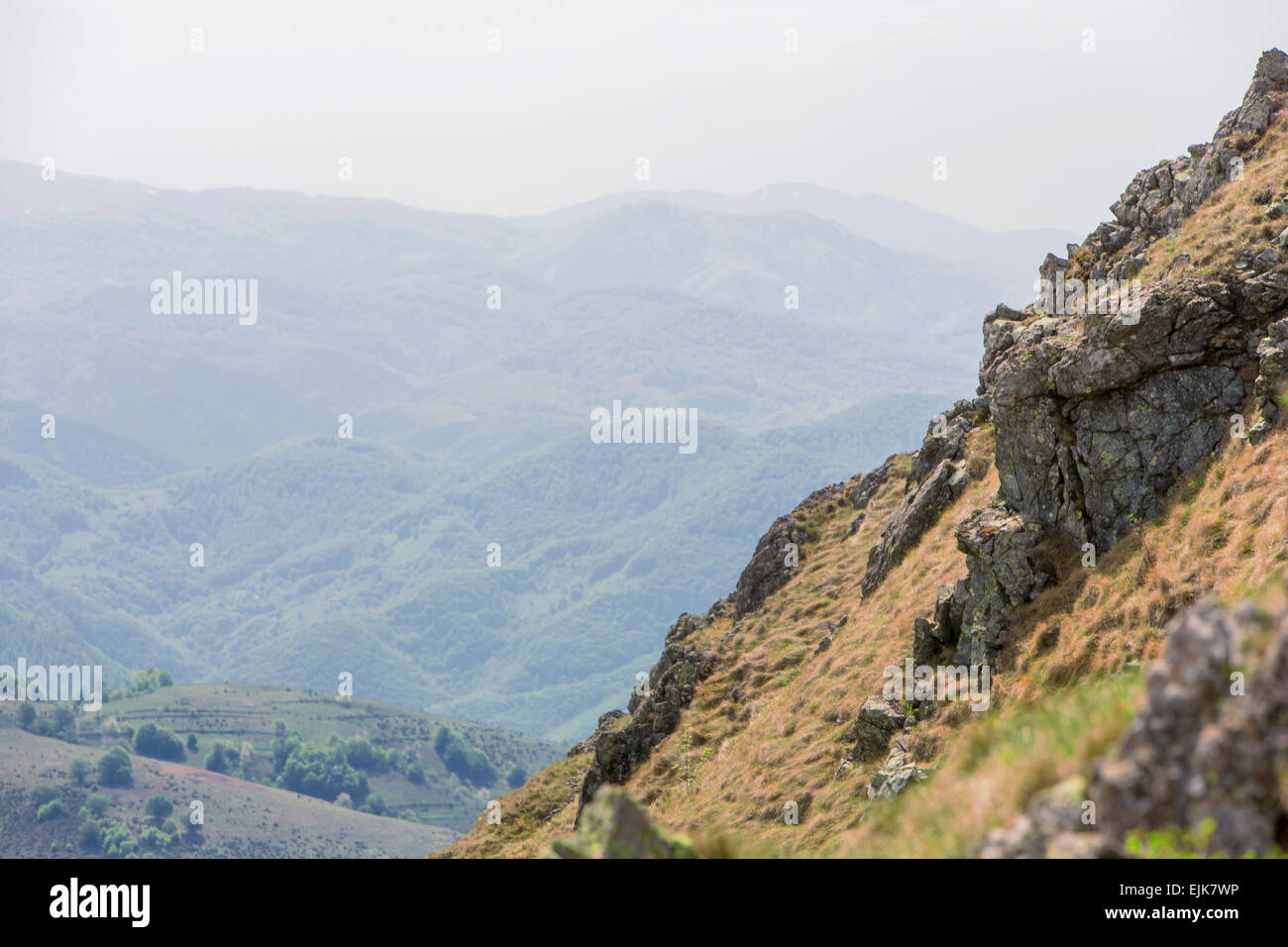 Detail from Kopaonik mountain, Serbia Stock Photo - Alamy