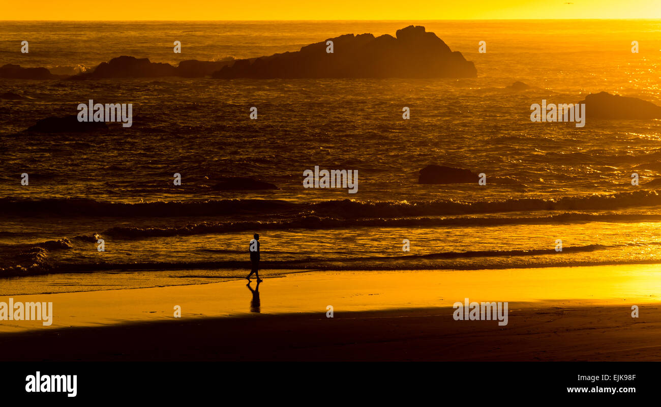 Strolling Harris Beach At Sunset - Oregon Stock Photo