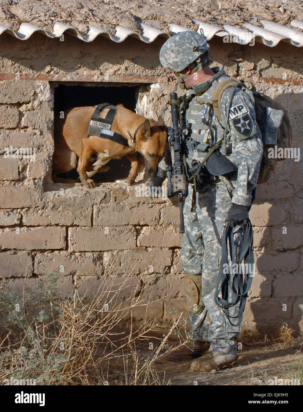 A U.S. Army Soldier with 2nd Squadron, 1st Cavalry Regiment and his military working dog clear a building in Galahbia, Iraq, Dec. 23, 2007.  Mass Communication Specialist 1st Class Sean Mulligan, U.S. Navy. Stock Photo