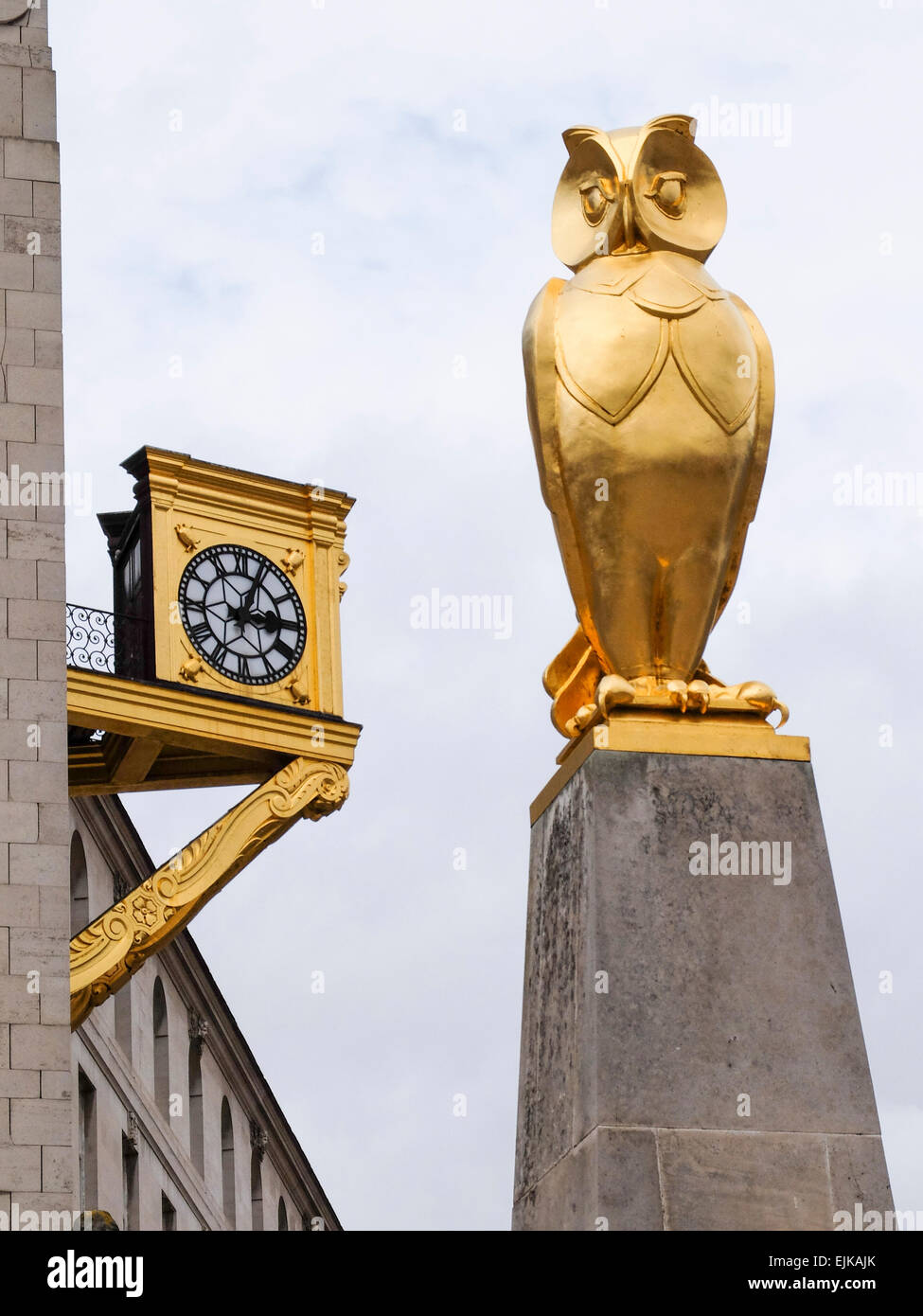 Golden Owl and, Clock in Millennium Square, Leeds Civic Hall, UK Stock Photo