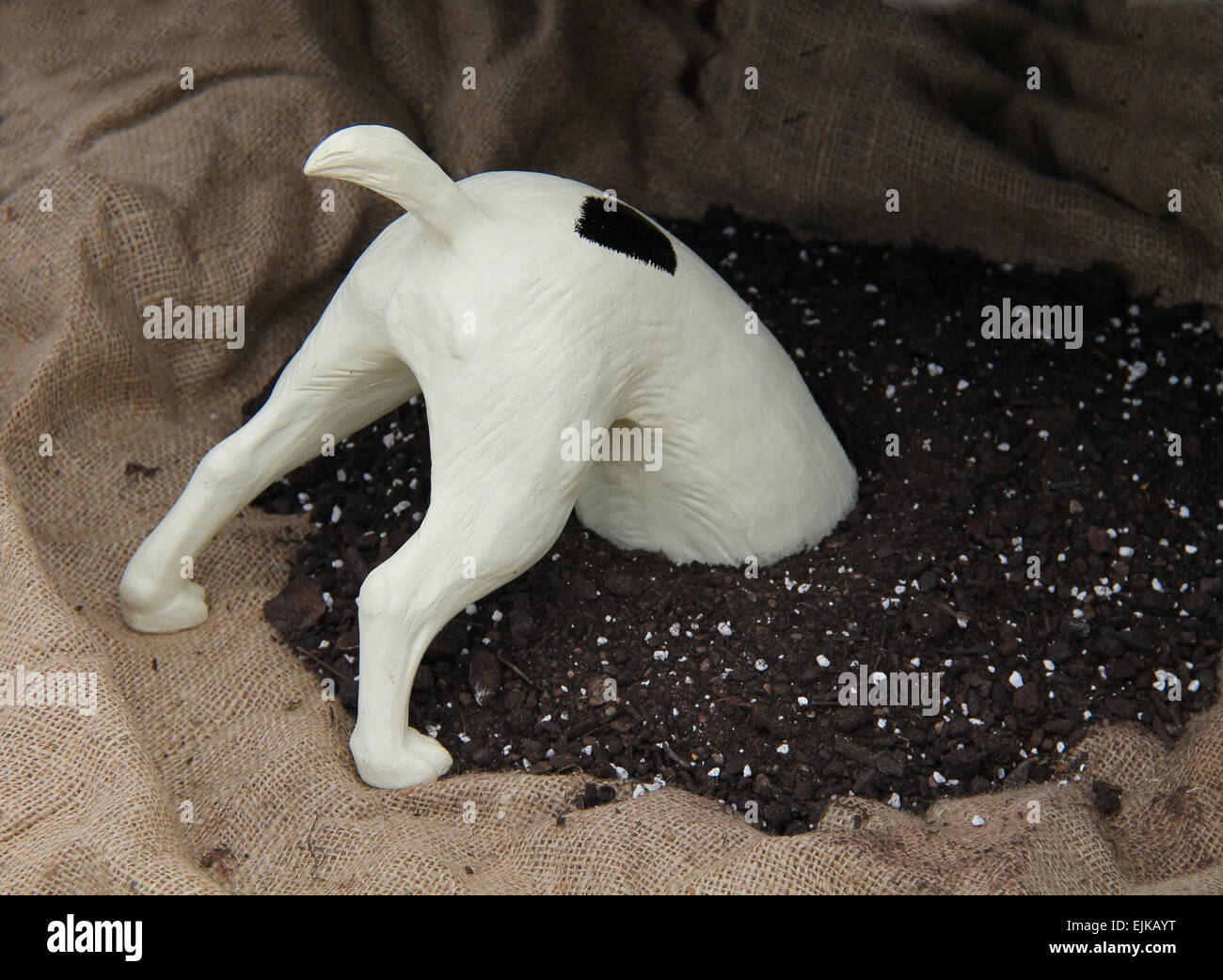 A Model of a Dogs Head Digging in a Pile of Soil. Stock Photo