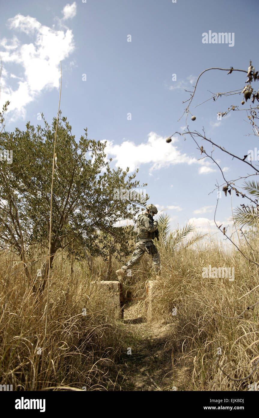 A U.S. Army Soldier walks through a palm grove in Baqubah, Iraq, March 30, 2007, during a joint patrol with Iraqi army soldiers from 2nd Battalion, 2nd Brigade, 5th Iraqi Army Division.  Staff Sgt. Stacy L. Pearsall Stock Photo