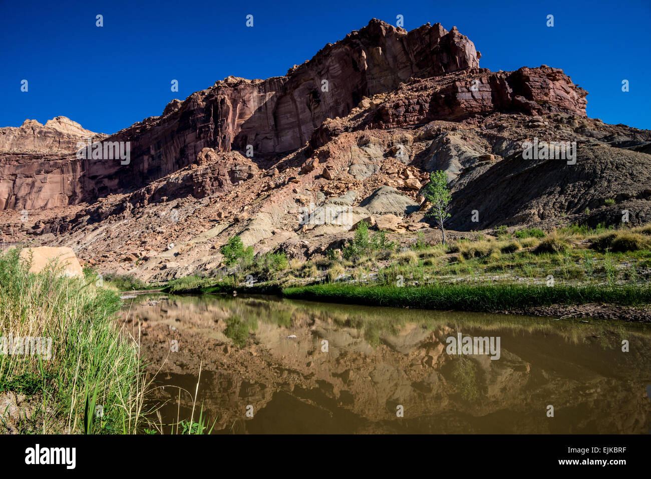 San Rafael River Reflections - Utah Stock Photo