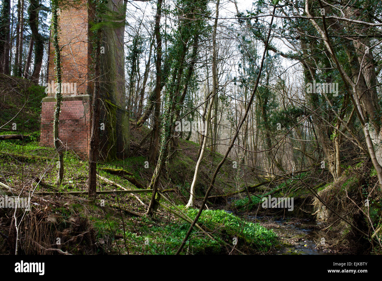 A leg of the Foegoesburn Viaduct that spans the gorge of the Foegoes ...