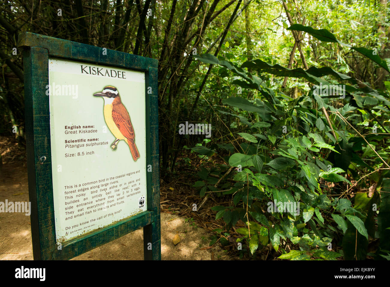 Signboard on the walking trail, Peperpot Nature Park, Commewijne district, Suriname Stock Photo