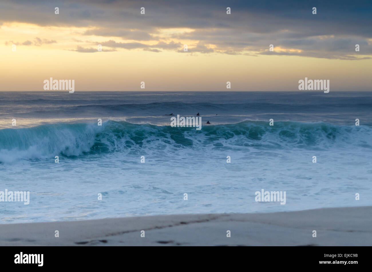 Silhouette of surfers on the waterh at sunset Stock Photo - Alamy