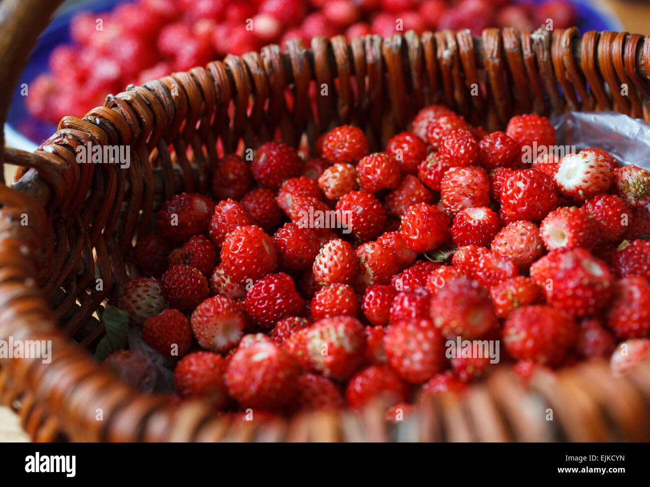 ripe wild strawberries Stock Photo - Alamy