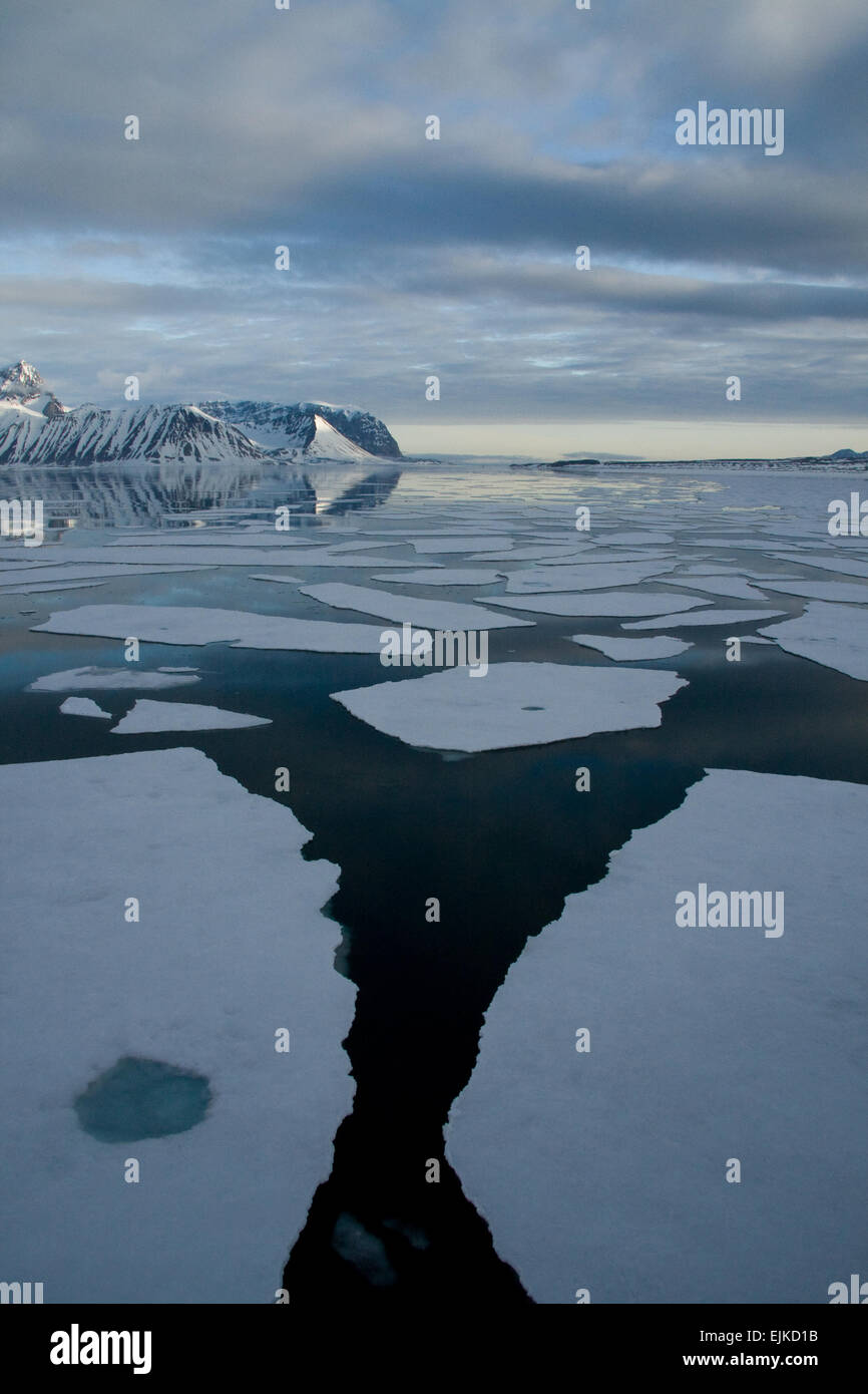 Ice flows at twilight in Arctic Spitsbergen Stock Photo