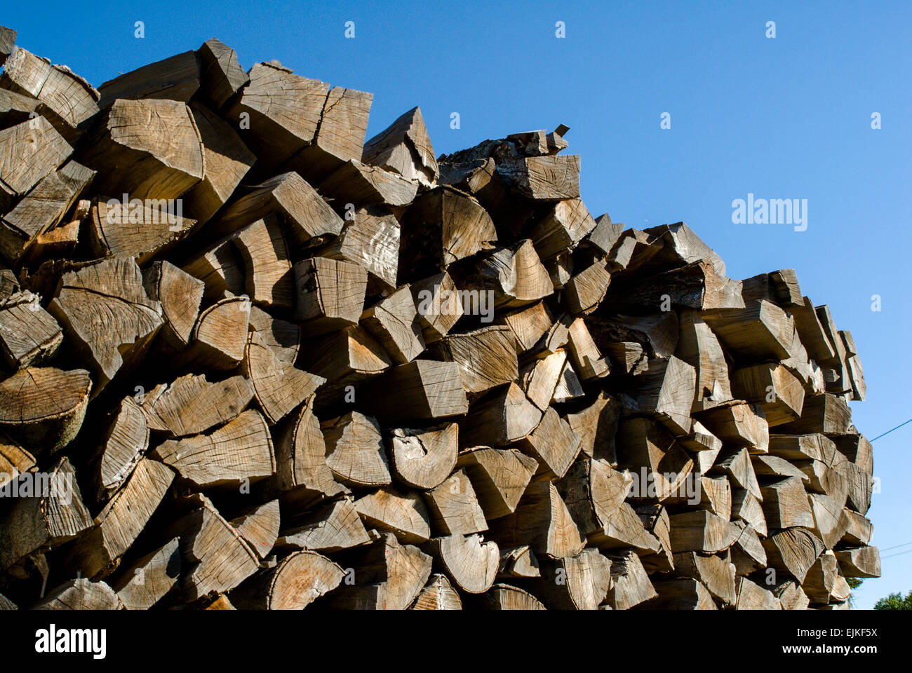 Logs, wood billets, firewood aganist blue skies, Bavaria, Germany, Europe Stock Photo