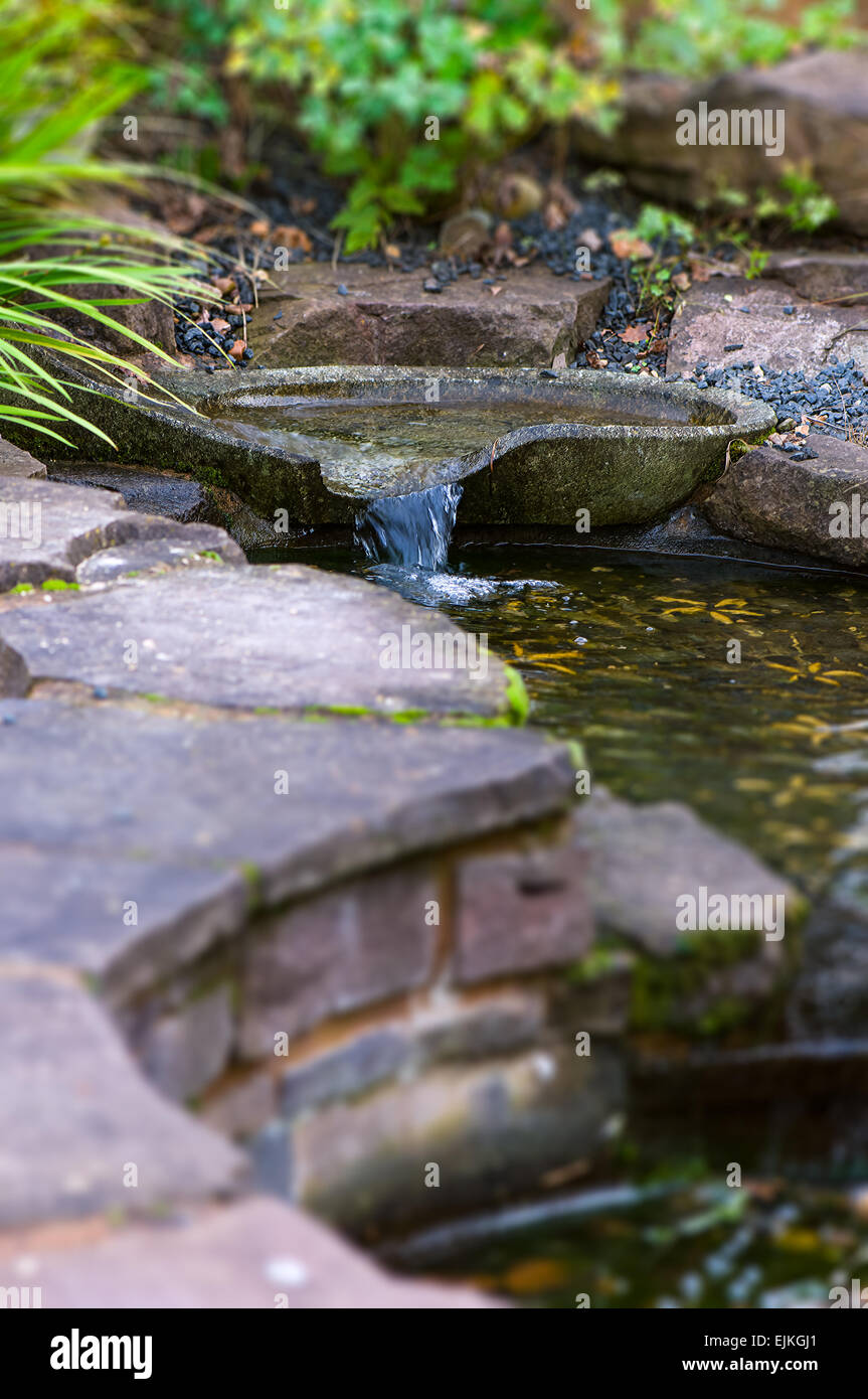 Patio Garden Zen pond Stock Photo Alamy