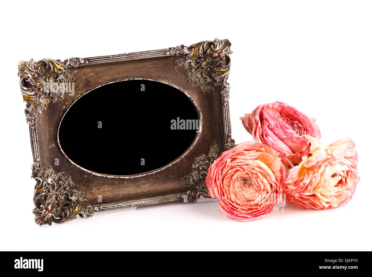 intage frame with rose Stock Photo - Alamy