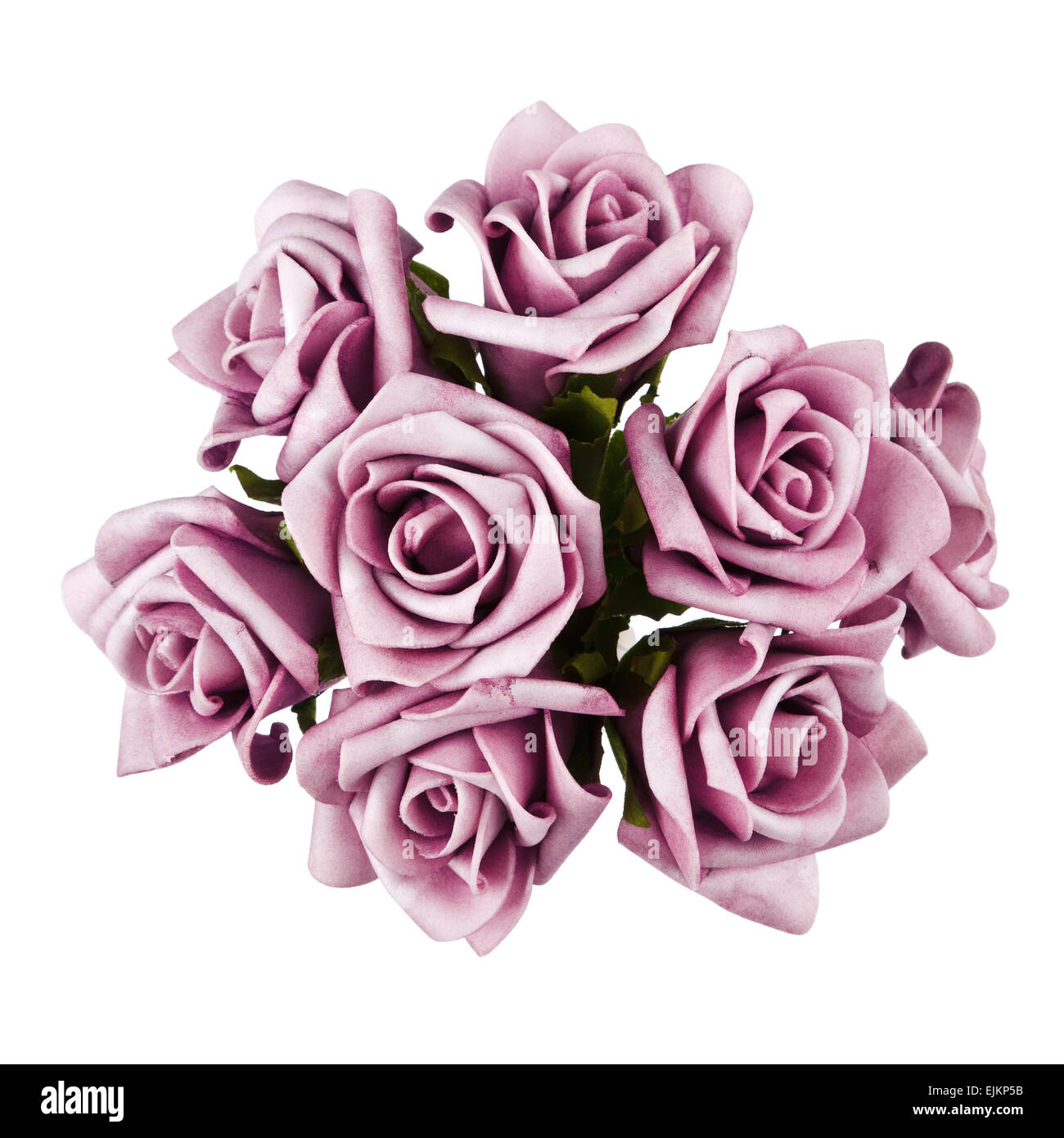Flowers isolated on white Stock Photo - Alamy