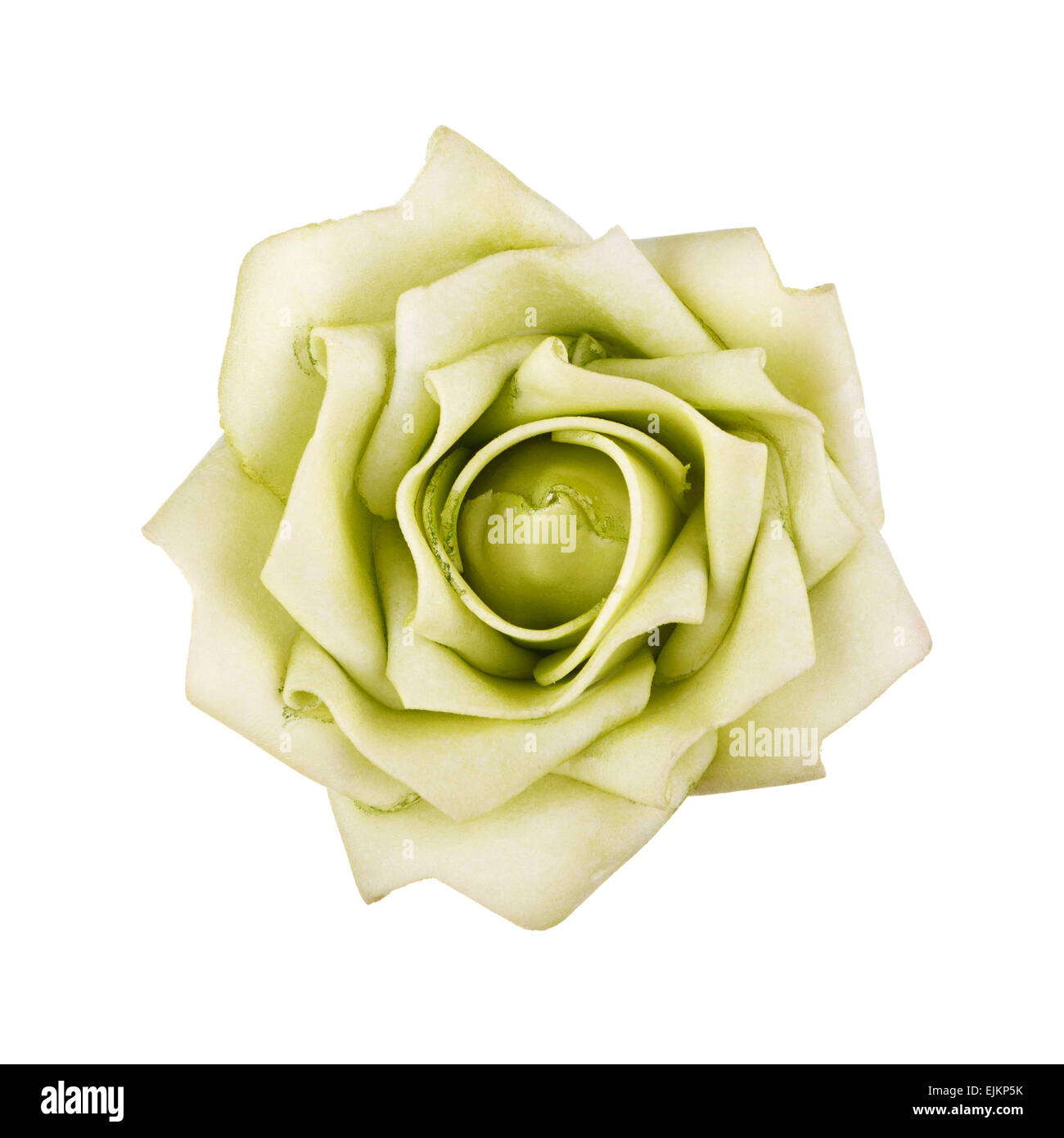 flower isolated on white Stock Photo - Alamy