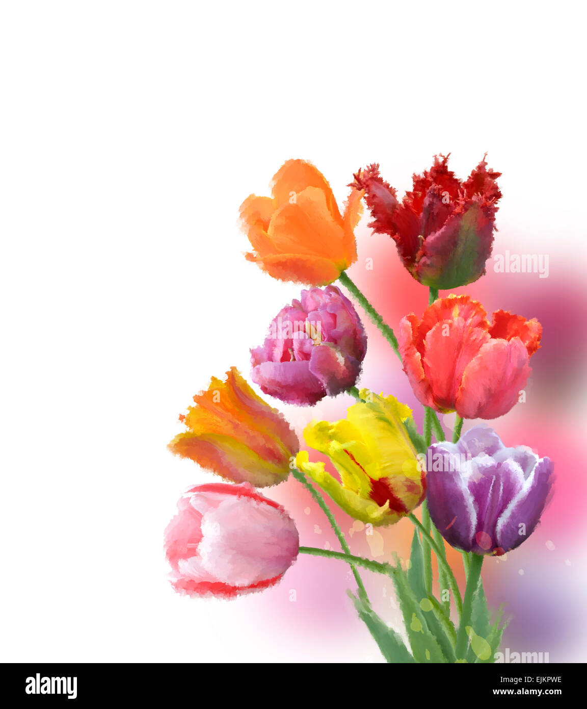 Tulip flower painting hires stock photography and images Alamy
