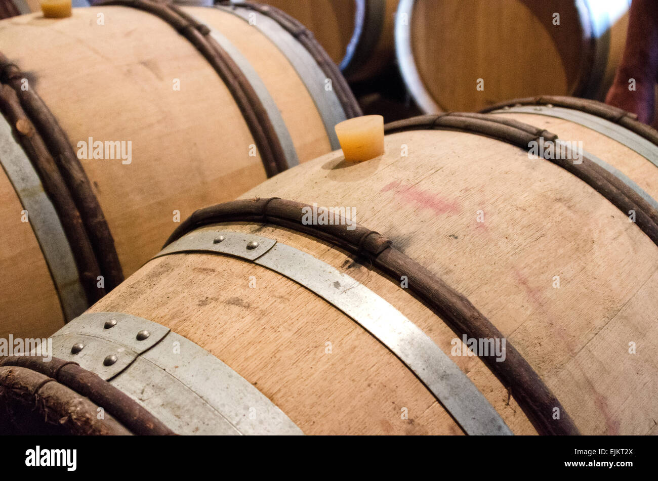 Casks of wine in the cellars of Domaine de la Folie, a vineyard near Chagny in the Côte Chalonnaise of Burgundy, France. Stock Photo