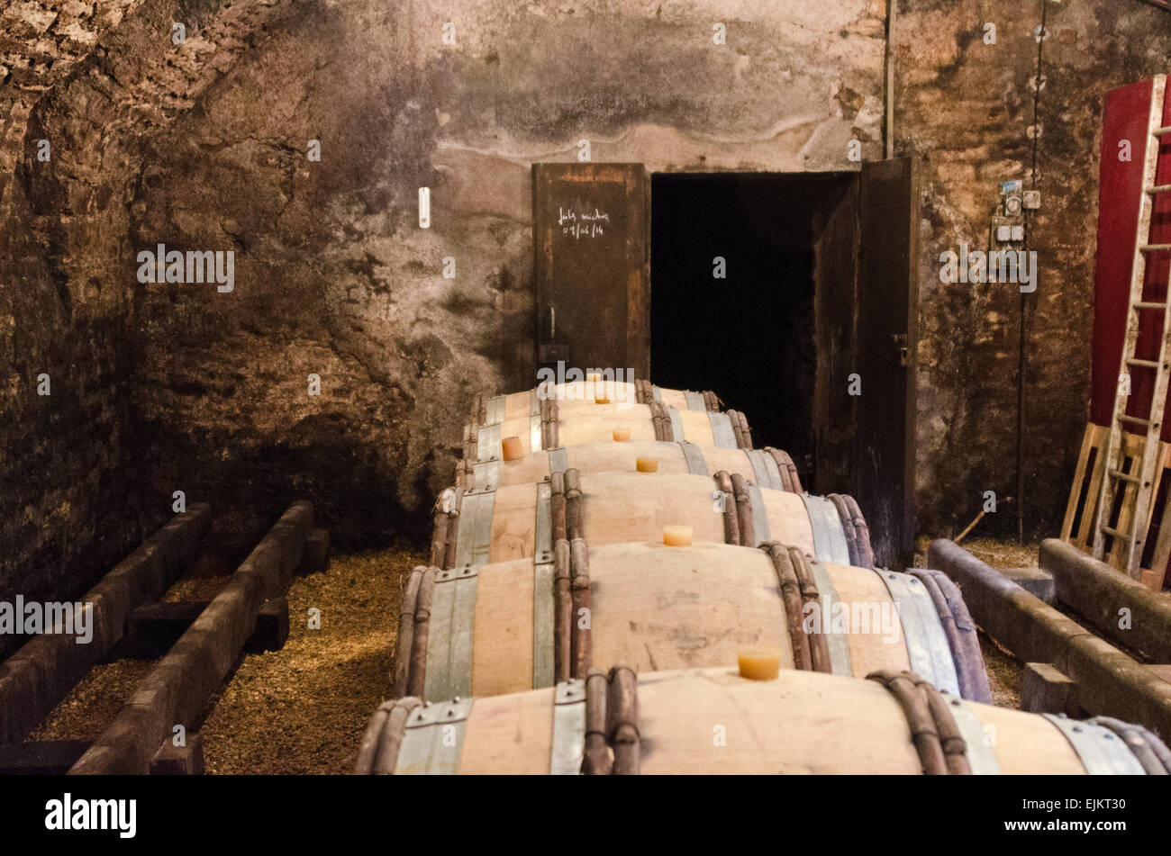 Wine aging in casks in the cellars of Domaine de la Folie, a vineyard near Chagny in the Côte Chalonnaise of Burgundy, France. Stock Photo