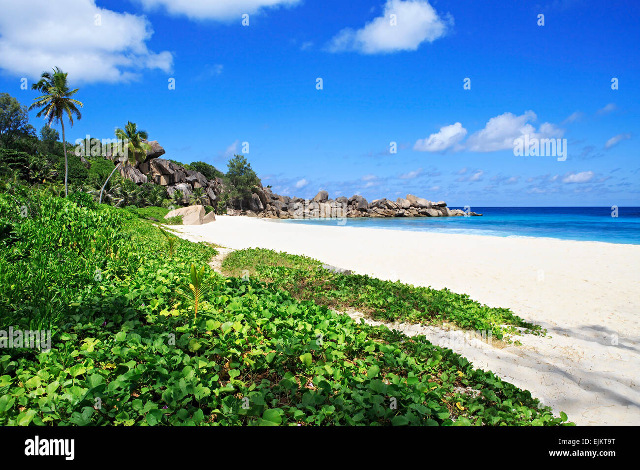 Beach Grande Anse Stock Photo Alamy