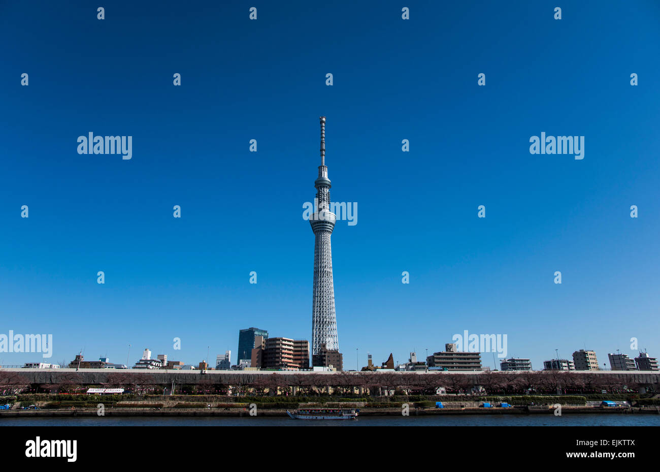 Tokyo Skytree,view from Sumida River,Tokyo,Japan Stock Photo Alamy