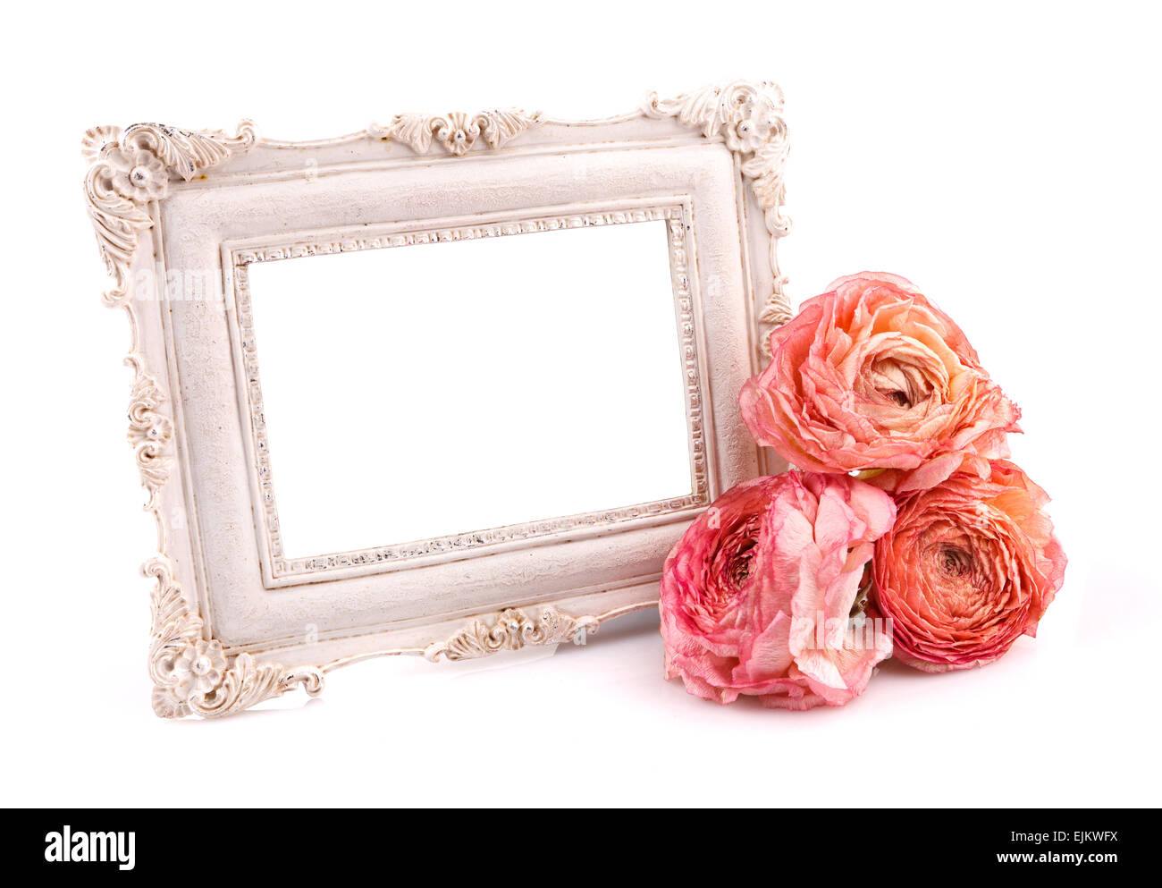 intage frame with rose Stock Photo - Alamy