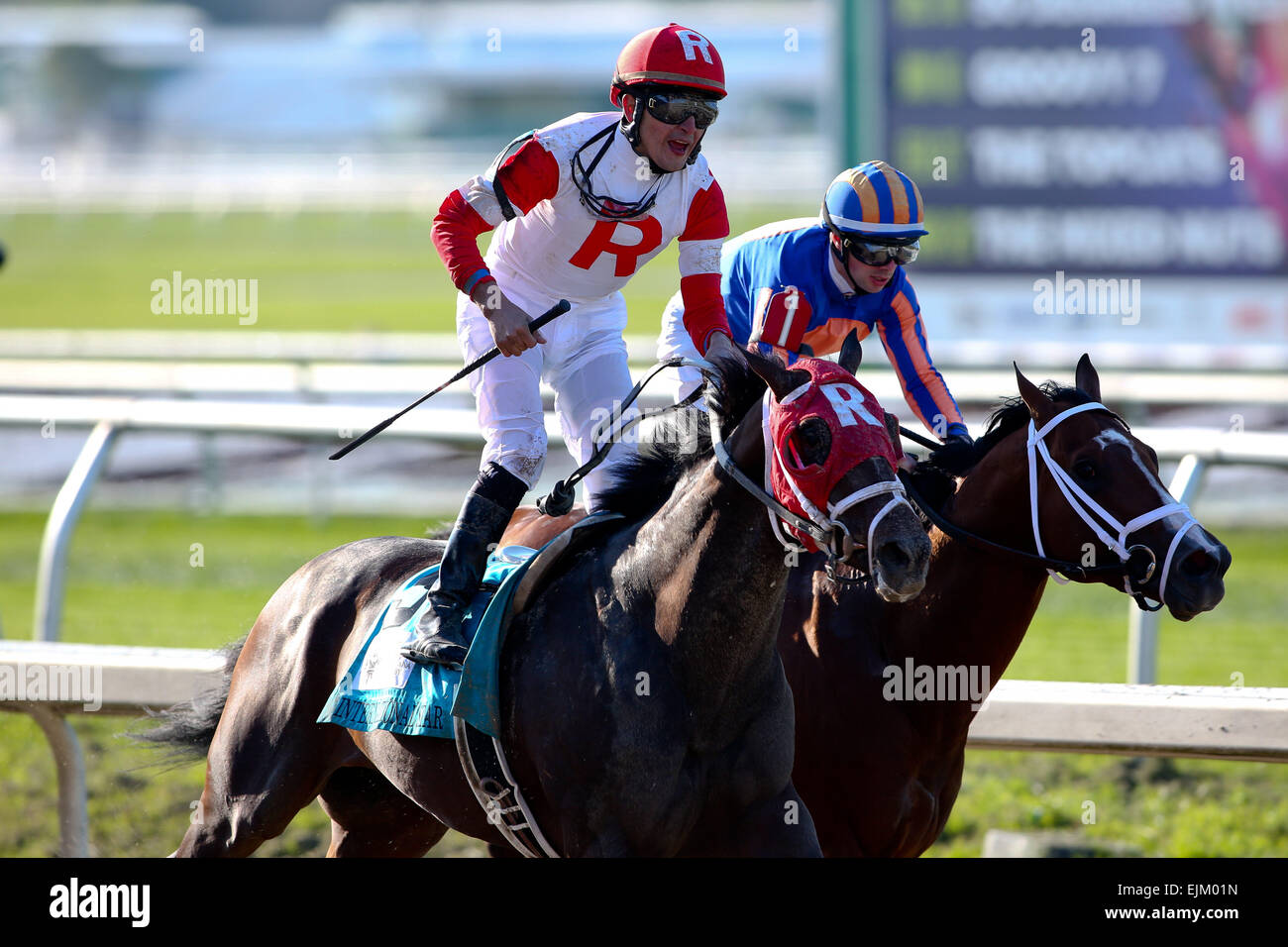 New Orleans, Louisiana, USA. 28th Mar, 2015. March 28, 2015: International Star with Miguel Mena up wins the Louisiana Derby Day at the New Orleans Fairgrounds. Steve Dalmado/ESW/CSM/Alamy Live News Stock Photo