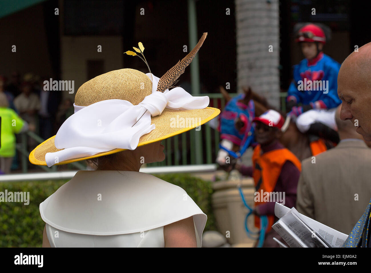 Hallandale Beach, FL, USA. 28th Mar, 2015. March 28, 2015: Scenes from Florida Derby Day. Gulfstream Park, Hallandale Beach (FL). Arron Haggart/ESW/CSM/Alamy Live News Stock Photo