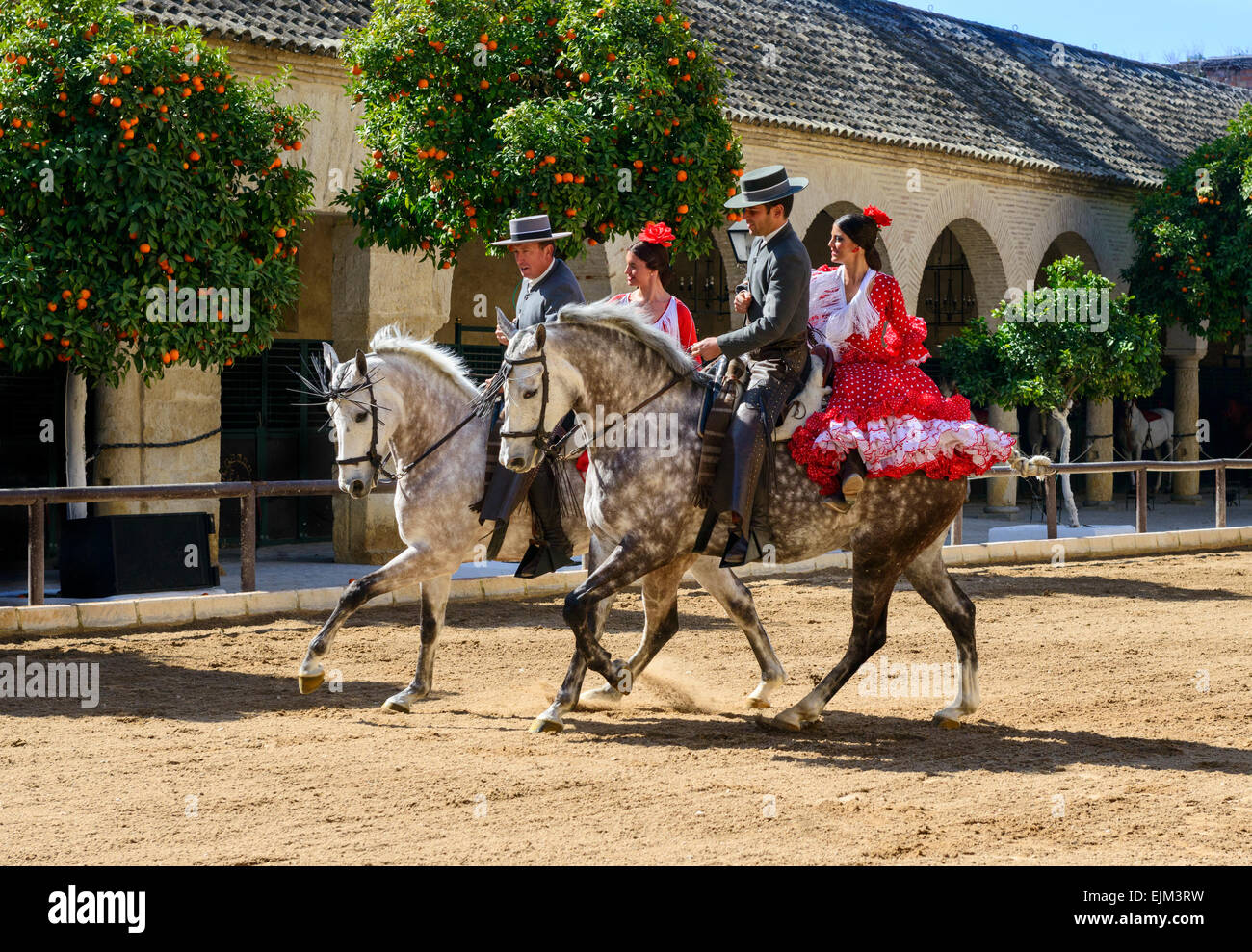 The equestrian show in the Royal stables of Cordoba Stock Photo