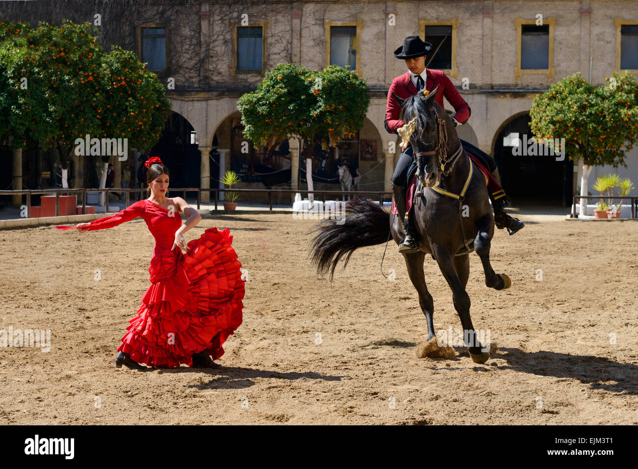 The equestrian show in the Royal stables of Cordoba Stock Photo