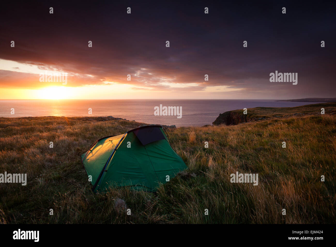 Wild Camp Tent At Sunrise On The Cliffs At St Abbs Head Scotland Tent And Land Being Bathed In Golden Morning Sunlight Stock Photo Alamy