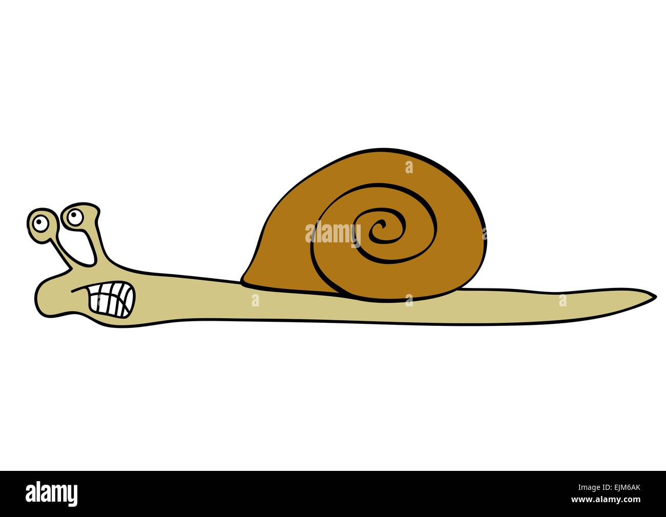 Vector illustration of the snail - slowly animal Stock Vector