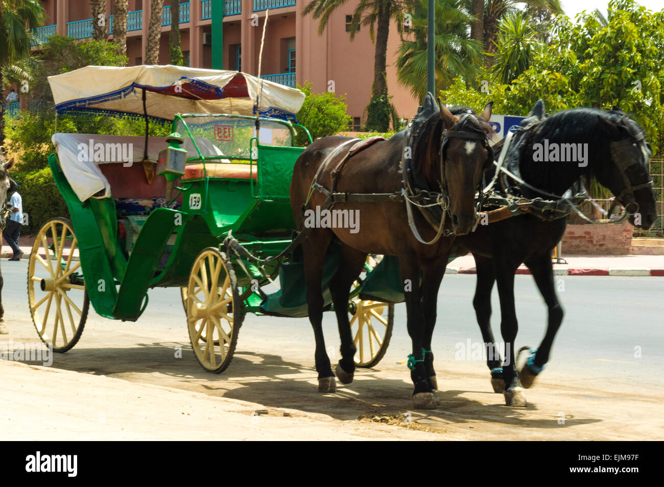 Caleches in Marrakesh, Morocco Stock Photo